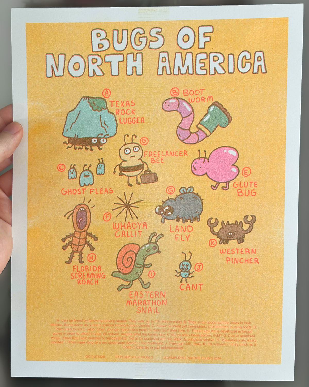 Bugs of North America RIso Art Print