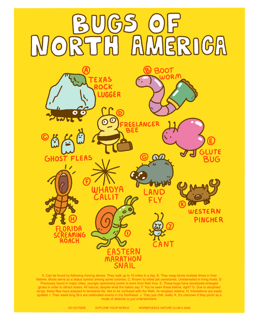 Bugs of North America RIso Art Print